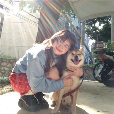 猎犬